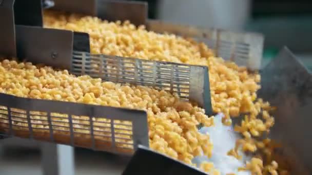 Производство макарон на производственной линии на заводе макарон — стоковое видео