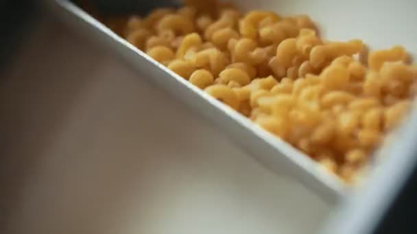 Сирі макарони на конвеєрному поясі на макаронному заводі — стокове відео