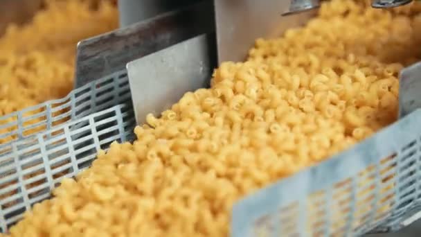 Fabricação de macarrão em transportador na fábrica de massas — Vídeo de Stock