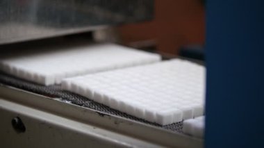 Konveyör bant şeker rafinerisinde şekeri üretimi