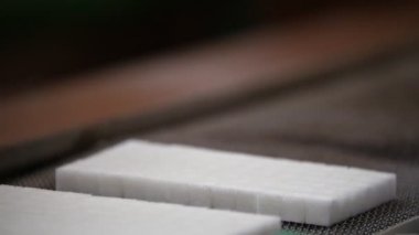 Konveyör bant şeker fabrikası'nda şekeri üretimi