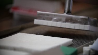 Şeker Fabrikası'nda Konveyör bant üzerinde beyaz şeker üretim süreci