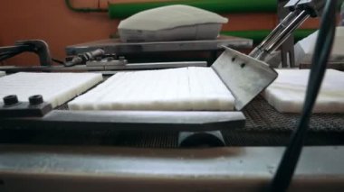 Konveyör bant şeker şeker rafinerisinde imalatı için