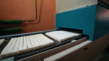 Konveyör bant şeker şeker rafinerisinde imalatı için
