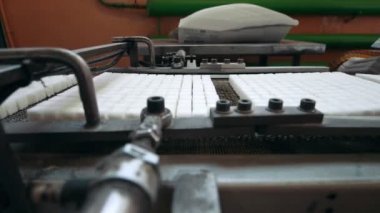 Konveyör şeker şeker rafinerisinde imalatı için