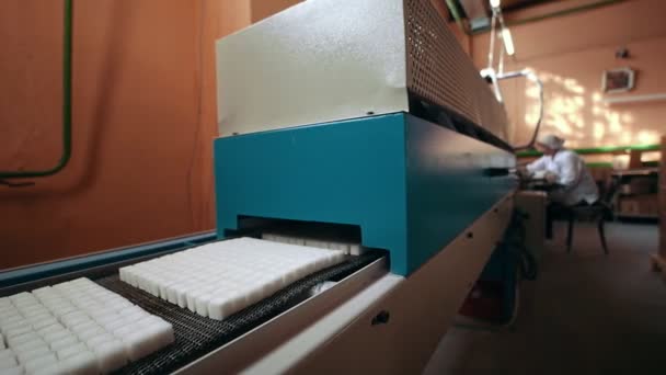 Beyaz şeker şeker rafinerisinde imalatı — Stok video