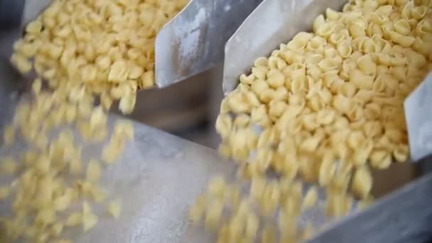 Het neerzetten van een transportband in de pasta fabriek een macaroni — Stockvideo