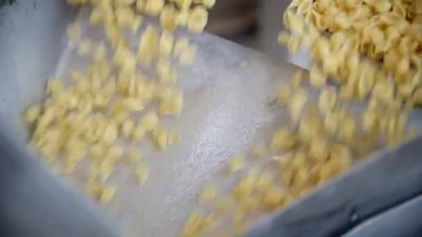 Att släppa makaroner från ett transportband vid pastafabriken - slow motion — Stockvideo