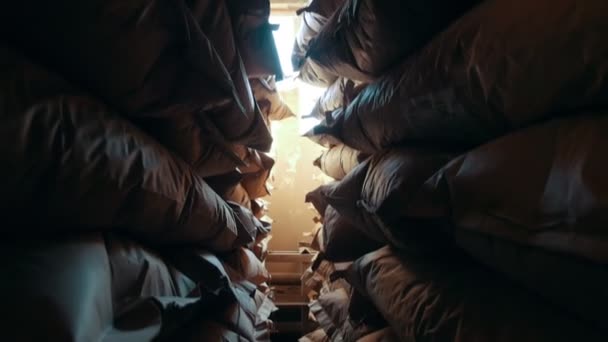 Zakken in een voorraad in de fabriek van macaroni — Stockvideo