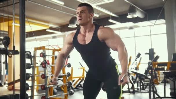 Bodybuilding dans la salle de gym - jeune homme sportif effectue un entraînement pour le bras — Video