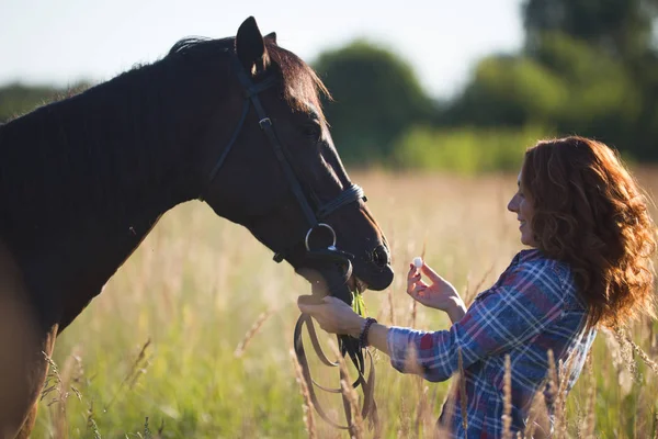 Retrato de uma mulher de cabelo vermelho e cavalo no prado no verão ensolarado — Fotografia de Stock