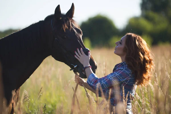 Jovem mulher e cavalo no prado à noite de verão — Fotografia de Stock