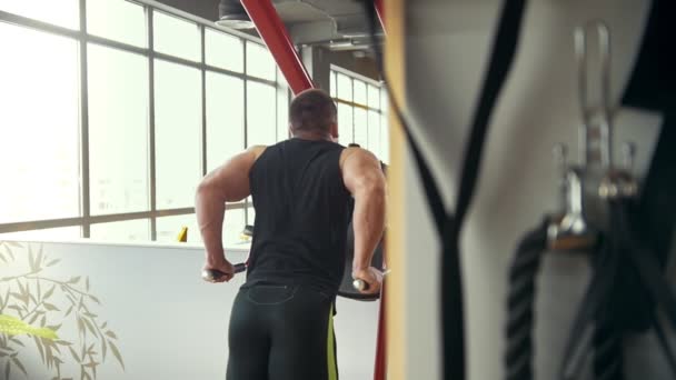 Vista posteriore dell'allenamento muscolare maschile in palestra — Video Stock