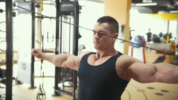 Stark bodybuilder utövar på den ljusa gym — Stockvideo