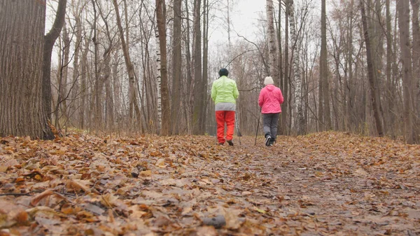 Fitness for elderly women in autumn park - nordic walking among autumn park - rear view