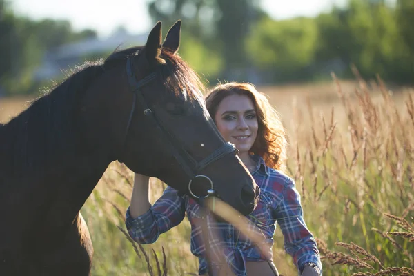 Jonge vrouw en paard in de wei op zomeravond — Stockfoto