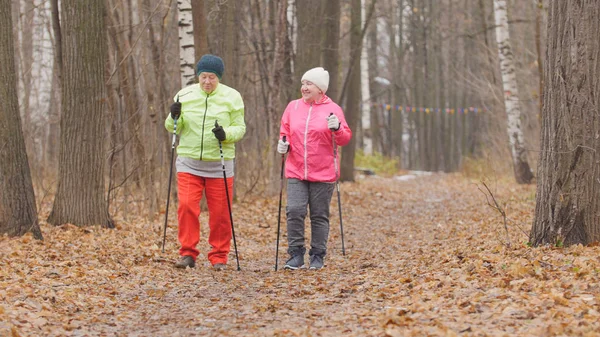 Two happy elderly woman in autumn park have nordic walking among autumn cold park