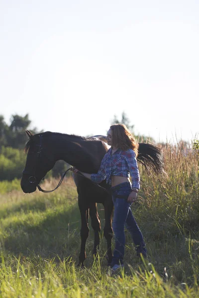 Fiatal nő, és a ló a réten, nyári este — Stock Fotó