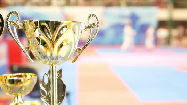 Zlatý pohár před boji karate na turnaji — Stock video