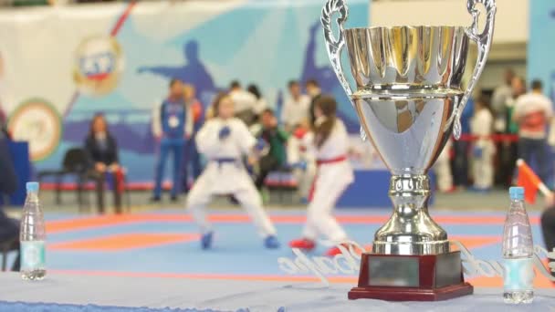 Vincere coppa di fronte a karate combattimento al torneo — Video Stock