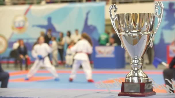 Vincere coppa di fronte a karate combattimento al torneo, semina-movimento — Video Stock