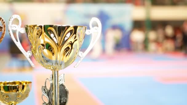 Goldener Pokal vor Kampf bei der Karate-Meisterschaft — Stockvideo