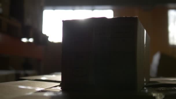 Картонные коробки внутри большого склада — стоковое видео