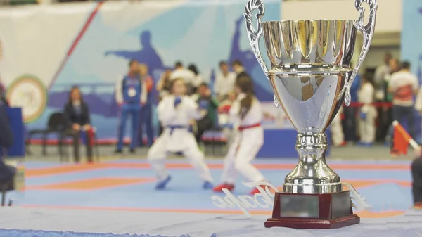 Ragazze adolescenti che combattono in kimono davanti alla coppa d'argento — Foto Stock