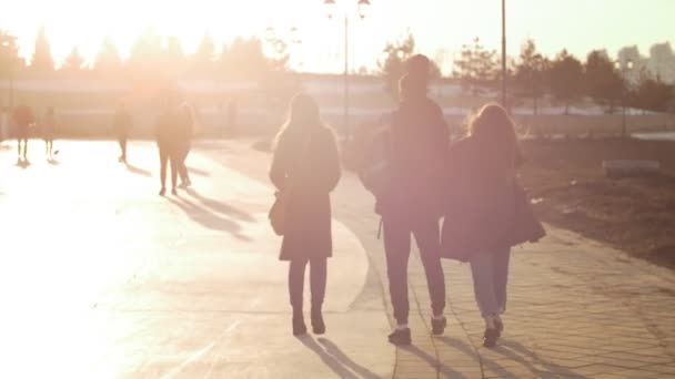 Bakifrån av tre vänner gå en promenad i kajen vid solnedgången — Stockvideo