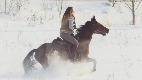 Desporto equestre - mulher cavaleiro no cavalo galopando no campo nevado — Fotografia de Stock