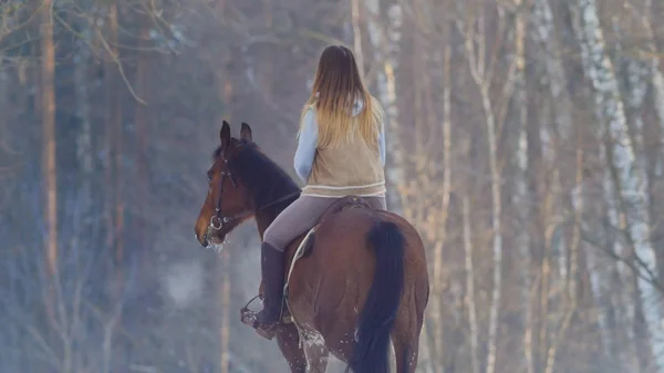 Cavaliere donna cavalcando cavallo nero attraverso la neve, vista posteriore — Foto Stock