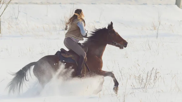 Deportes ecuestres - jinete mujer a caballo galopando en el campo cubierto de nieve — Foto de Stock