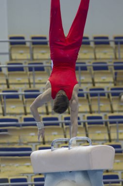 Genç atletik adam yumruklamak at üzerinde performans