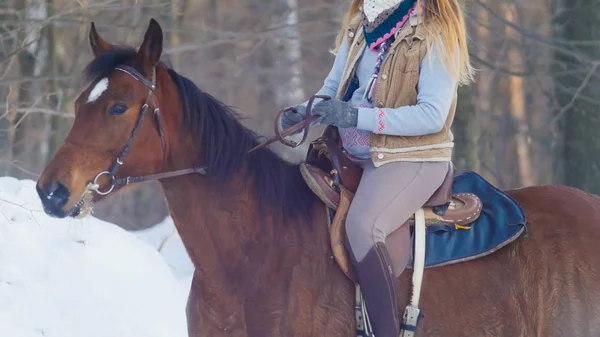 Mladé ženy jezdec na černém koni závějemi v zimě mražené lesní — Stock fotografie