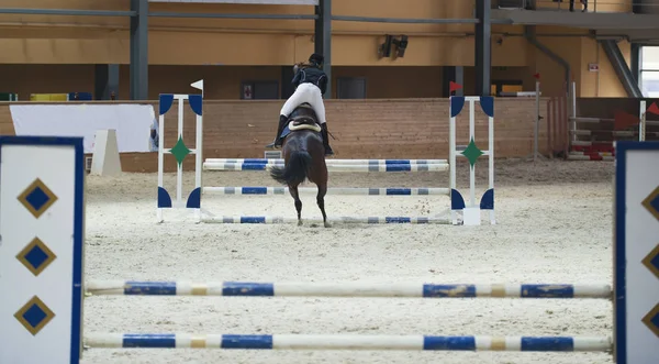 Jovem feminino cavaleiro no garanhão azeda saltando sobre obstáculo no show jumping competição — Fotografia de Stock