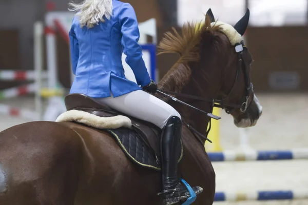 Visão traseira do equestre fêmea no garanhão de gengibre na competição de salto de exibição — Fotografia de Stock