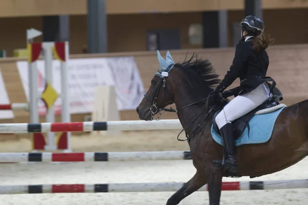 Cavaleiro equestre feminino correndo em garanhão na competição show jumping — Fotografia de Stock
