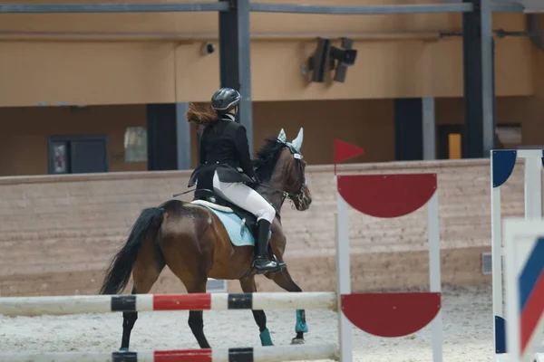 Visão traseira do cavaleiro equestre feminino correndo em garanhão na competição show jumping — Fotografia de Stock