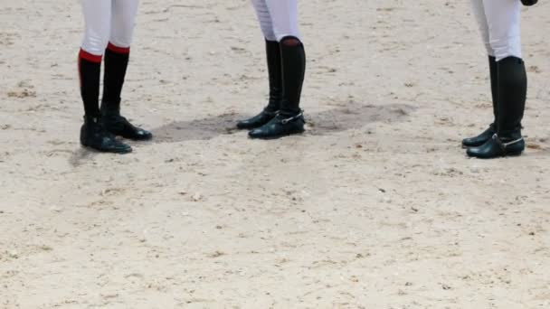 Paardensport renners op de show jumping competitie — Stockvideo