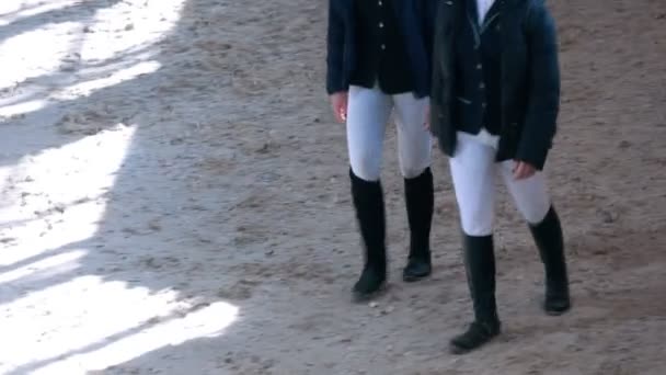 Benen van renners lopen op de show jumping competitie — Stockvideo