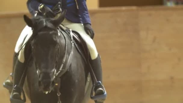 Női lovas a ló rideing a díjugrató verseny — Stock videók