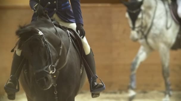 Jezdci na koních v jezdeckých aréně, pomalý pohyb — Stock video