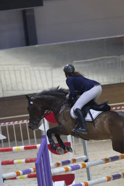 Jovem mulher no garanhão preto pulando sobre obstáculo em show jumping concorrência — Fotografia de Stock