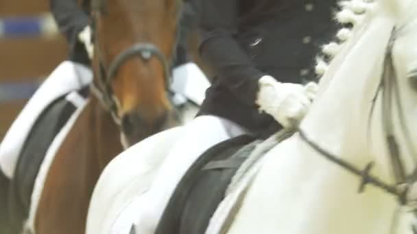 Cavaleiros nos cavalos na arena equestre — Vídeo de Stock