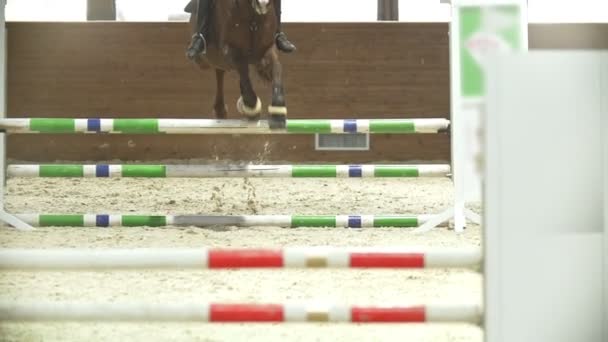 Jinete en caballo negro galopando en concurso de salto espectáculo — Vídeos de Stock