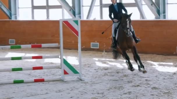 Kasan, Russland - 25. April 2018: Reitturnier - Reiterin auf dem Pferd galoppiert — Stockvideo