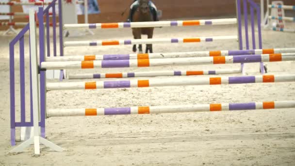 KAZAN, RUSSIA - APRIL 25, 2018: Equestrian championship - Young male rider on a horse performing jump over obstacle — Stock Video