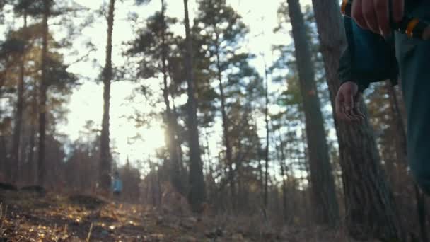 Turysta przechodząc przez las z latarką — Wideo stockowe