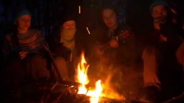 Group of young friends sitting at the bonfire and playing guitar in the evening wood — Stock Video