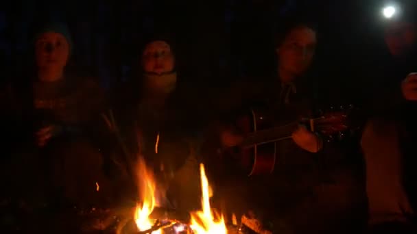 Молодые друзья сидят у костра и играют на гитаре в вечернем лесу — стоковое видео